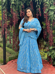 Hand embroidered blue Georgette self embroidered lehnga saree