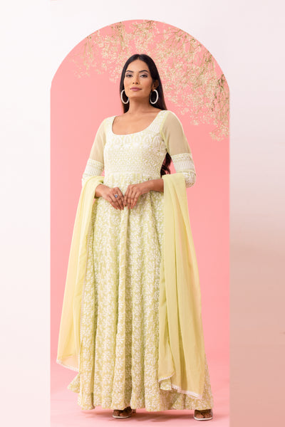 Embroidered pista green anarkali