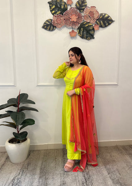 Parrot green anarkali